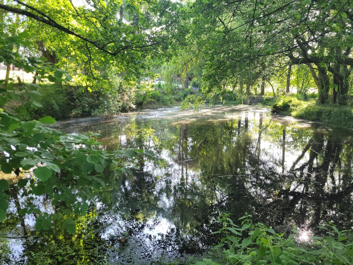 Clos Des Monts Saint-Martin-des-Besaces ภายนอก รูปภาพ